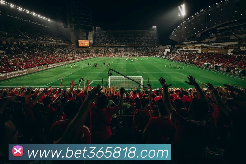 bet365中国官网平台生态图